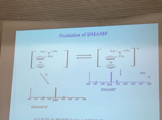 Prof. Lev von der Hebrew University of Jerusalem hielt ein Lectio Magistralis mit dem Titel “Advanced Novel Analytical Methods for Faster Forensic and Medical Analysis”.