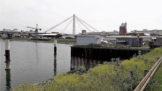 Mannheimer Hafen: Impressionen Hafenbecken mit Sicht auf Pylon-Brücke 