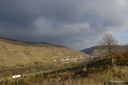 Blick ins Moseltal